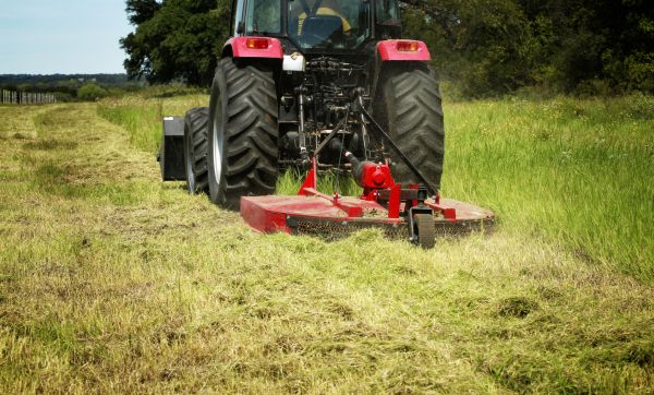 Brush Clearing Service in Port Angeles