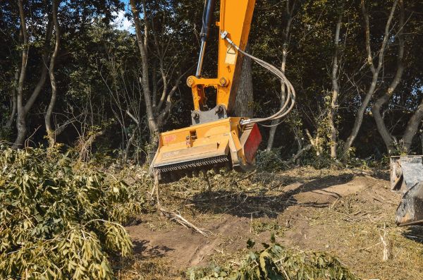 Brush Removal Service in Port Angeles