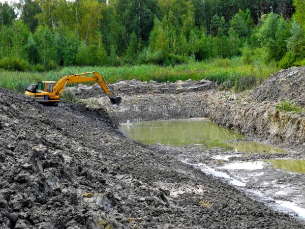 Cost of Lake Lot Clearing in Port Angeles