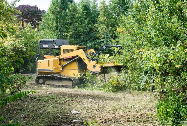 Cost of Pathway Clearing in Port Angeles
