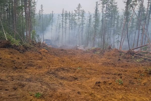 Cost of Hill Clearing in Port Angeles