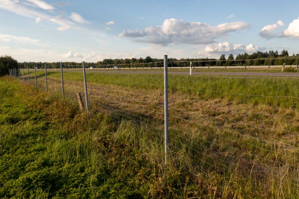 Cost of Property Line Clearing in Port Angeles