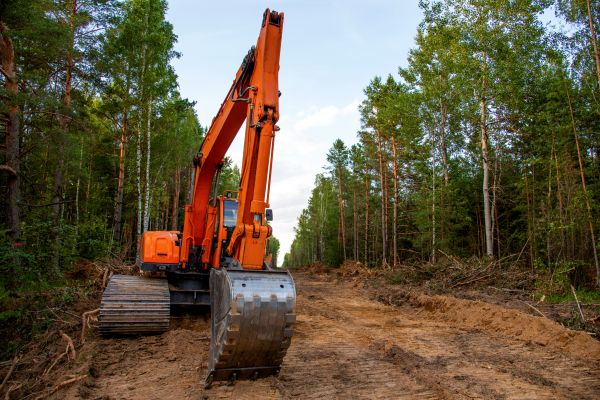 Cost of Backhoe Land Clearing in Port Angeles