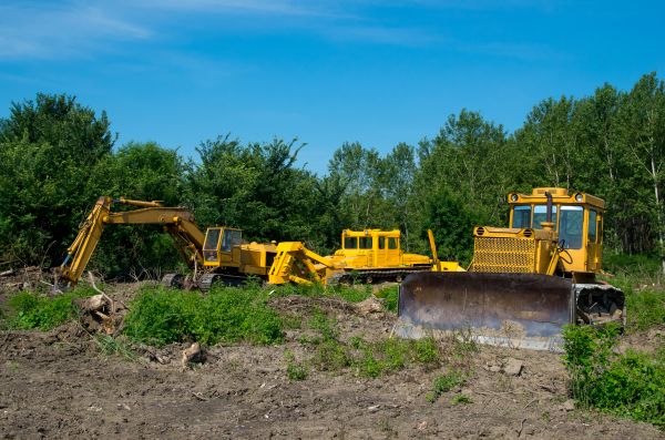 Cost of Bulldozer Clearing in Port Angeles