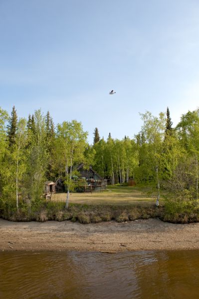 Cost of Waterfront Land Clearing in Port Angeles