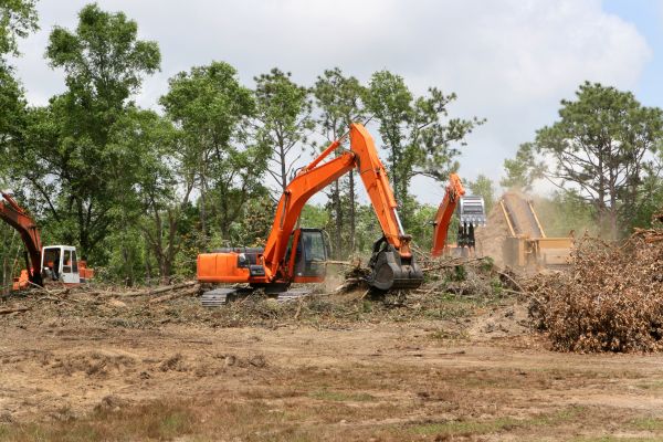 Cost of Commercial Lot Clearing in Port Angeles