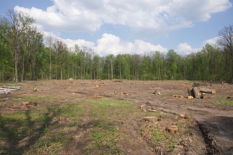 Land After Vegetation Removal